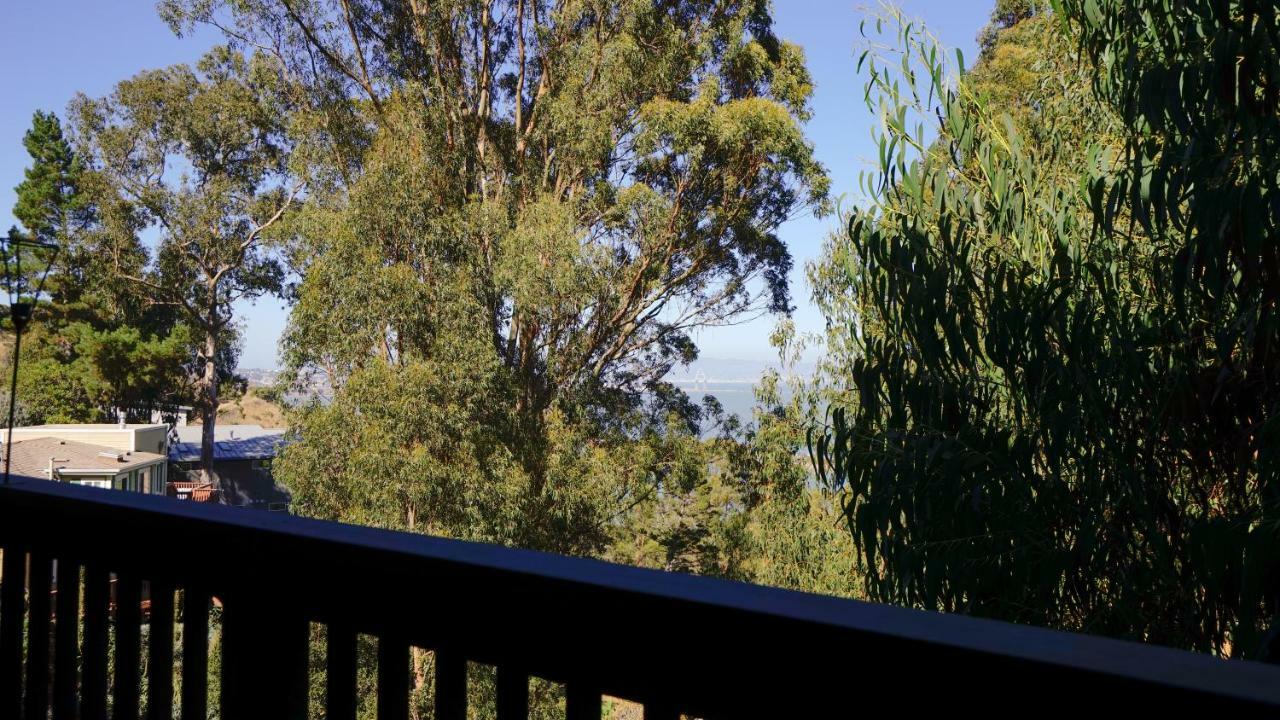 ブリスベン @ Marbella Lane Eco Friendly Treehouse, Sfoヴィラ エクステリア 写真
